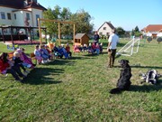 Sorbon - pes fotbalista